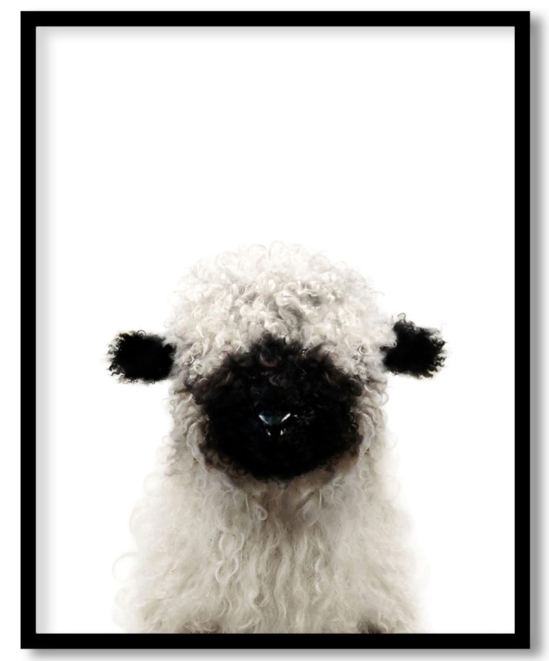 Baby animal prints, Lamb print, Nursery decor, Animal art, Baby animals, Nursery wall art, Kids art, Farm animals, Nursery art