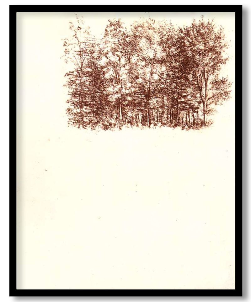 Birch copse by Leonardo da Vinci (1500)