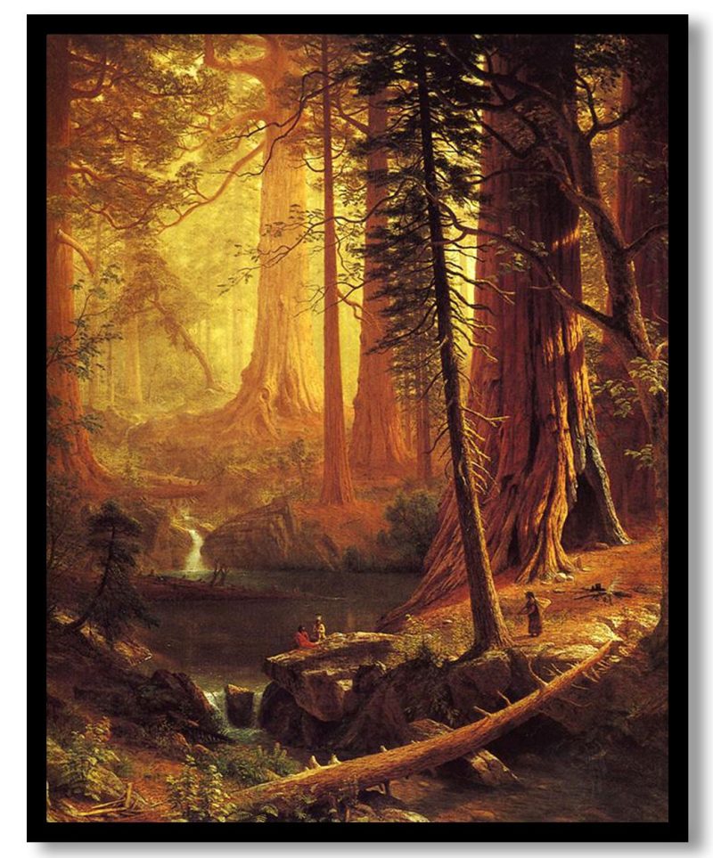 Giant Redwood Trees of California by Albert Bierstadt (1874)