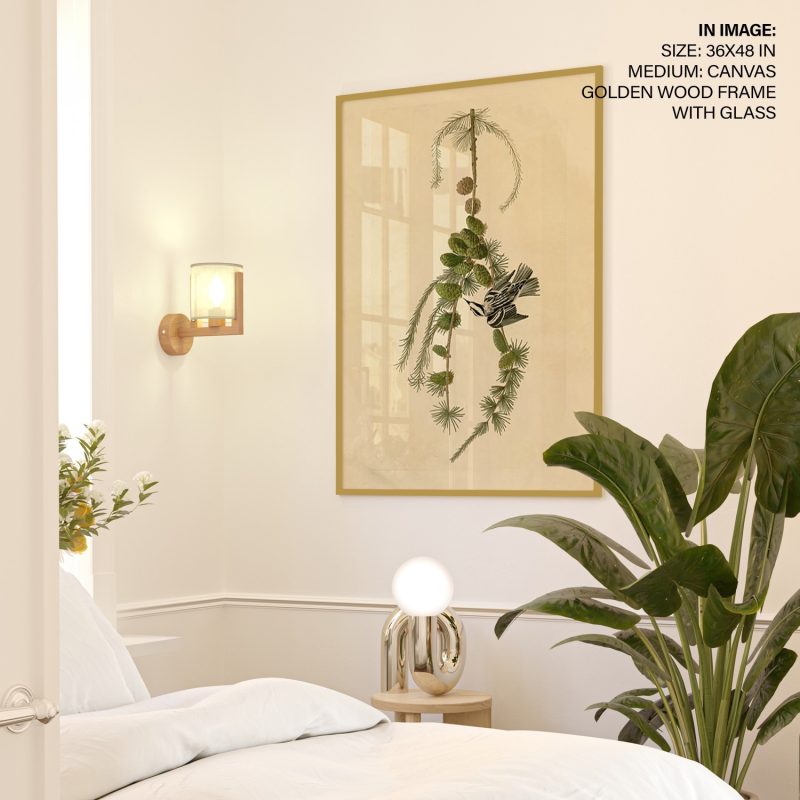 Plate 90 Black & White Creeper by John James Audubon (Unknown)