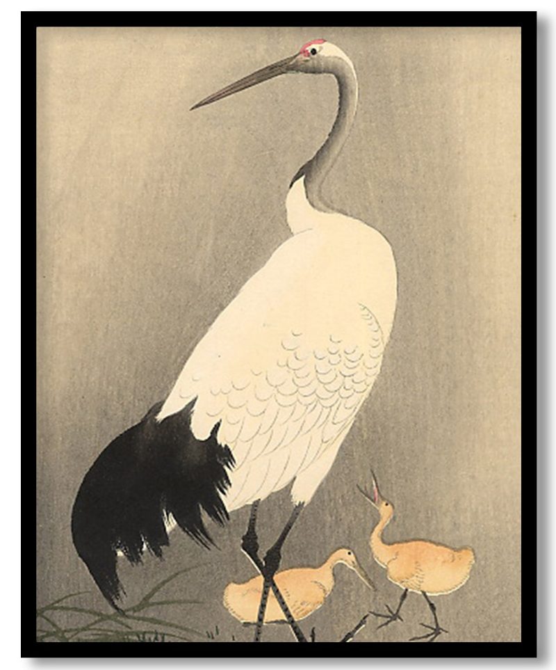 Red crowned Crane by Ohara Koson (Unknown)