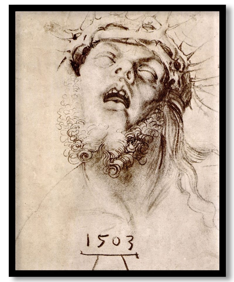 TA-WRLD-PNGTS-CP5-FIRST-182