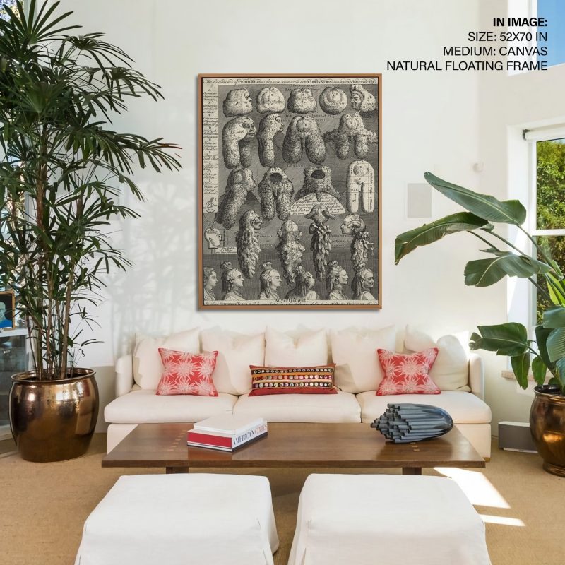 TA-WRLD-PNGTS-CP5-LR2-354 TA-WRLD-PNGTS-CP5-LR2-354