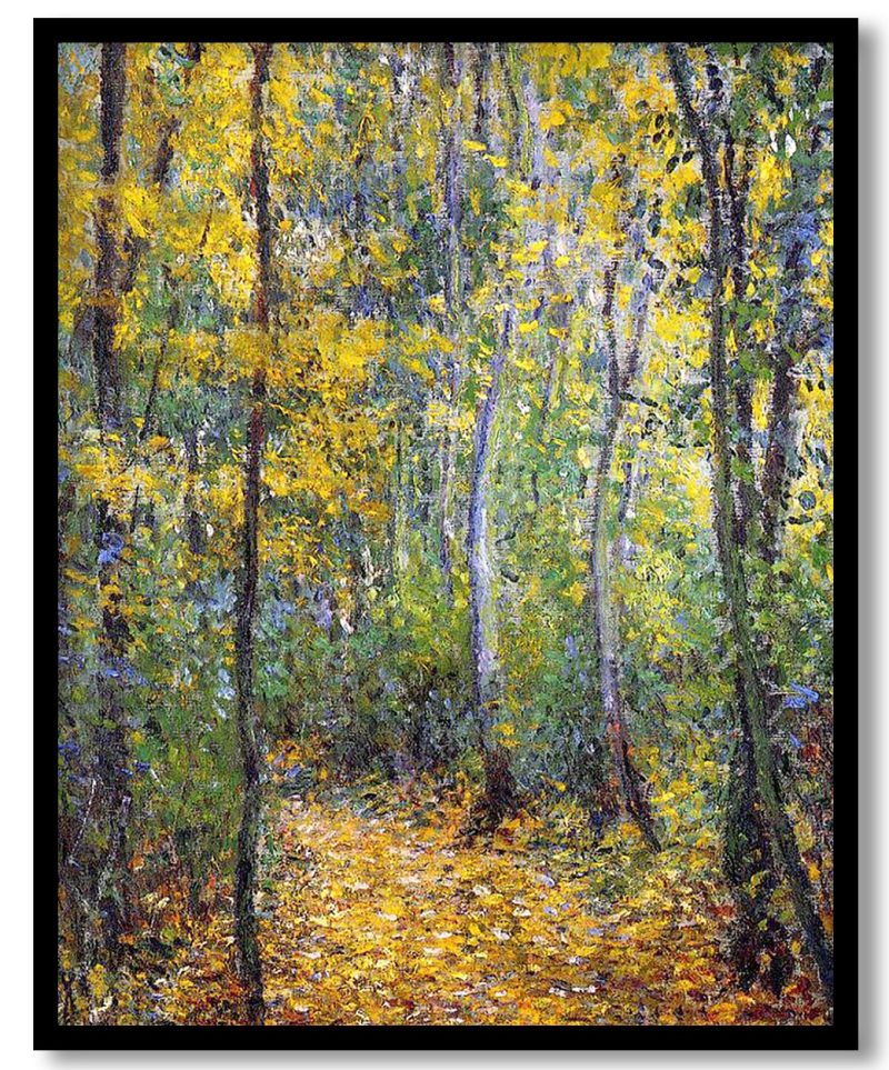 TA-WRLD-PNGTS-CP7-FIRST-476-1