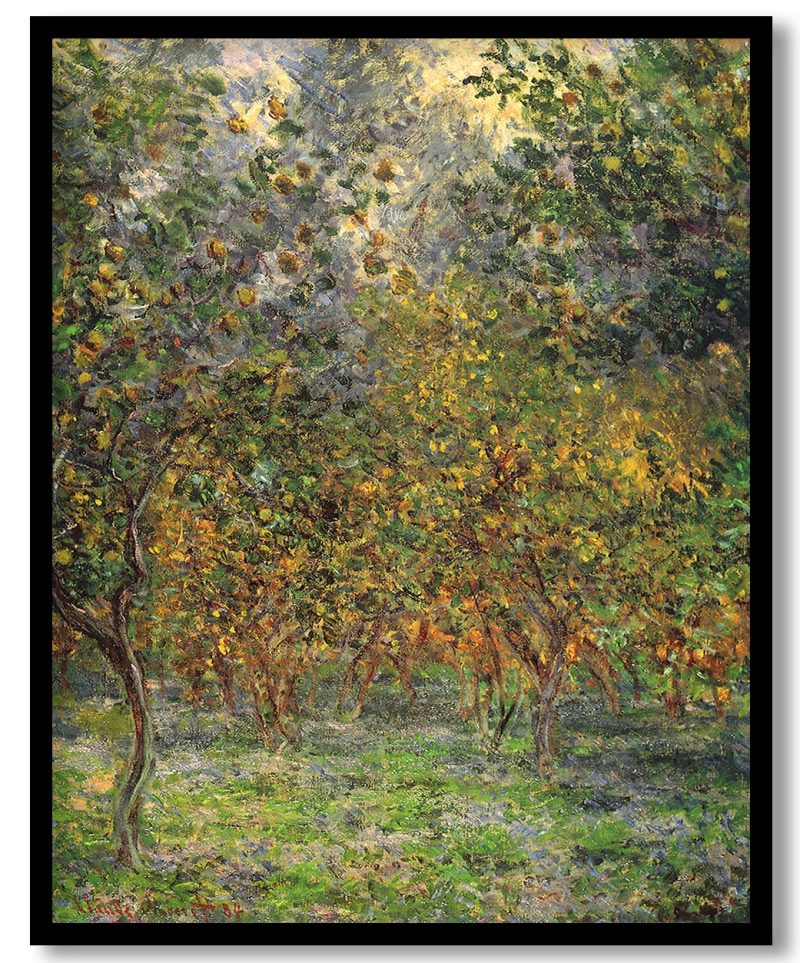 TA-WRLD-PNGTS-CP8-FIRST-128-1