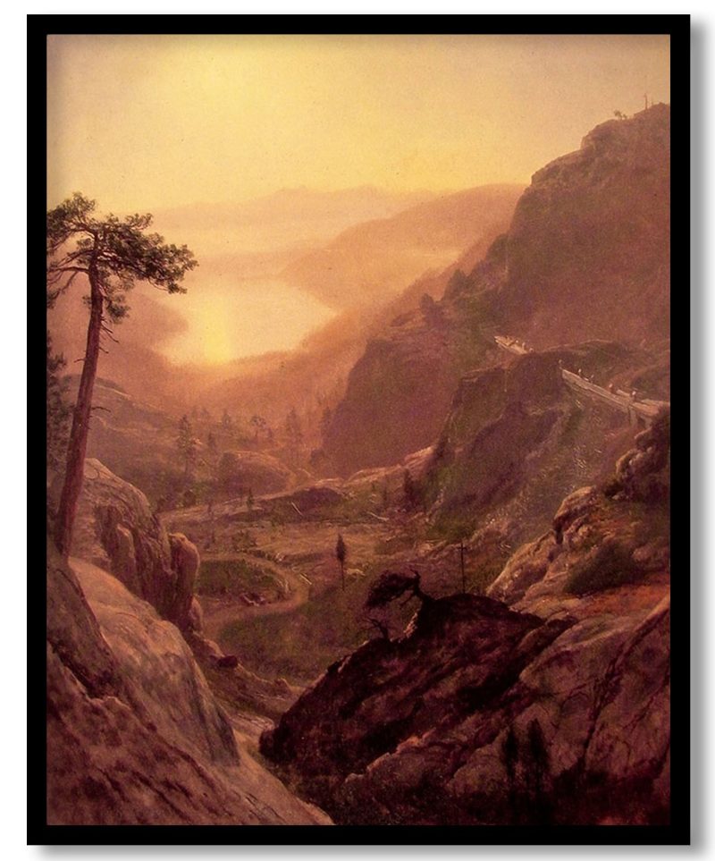 TA-WRLD-PNGTS-CP8-FIRST-524-1