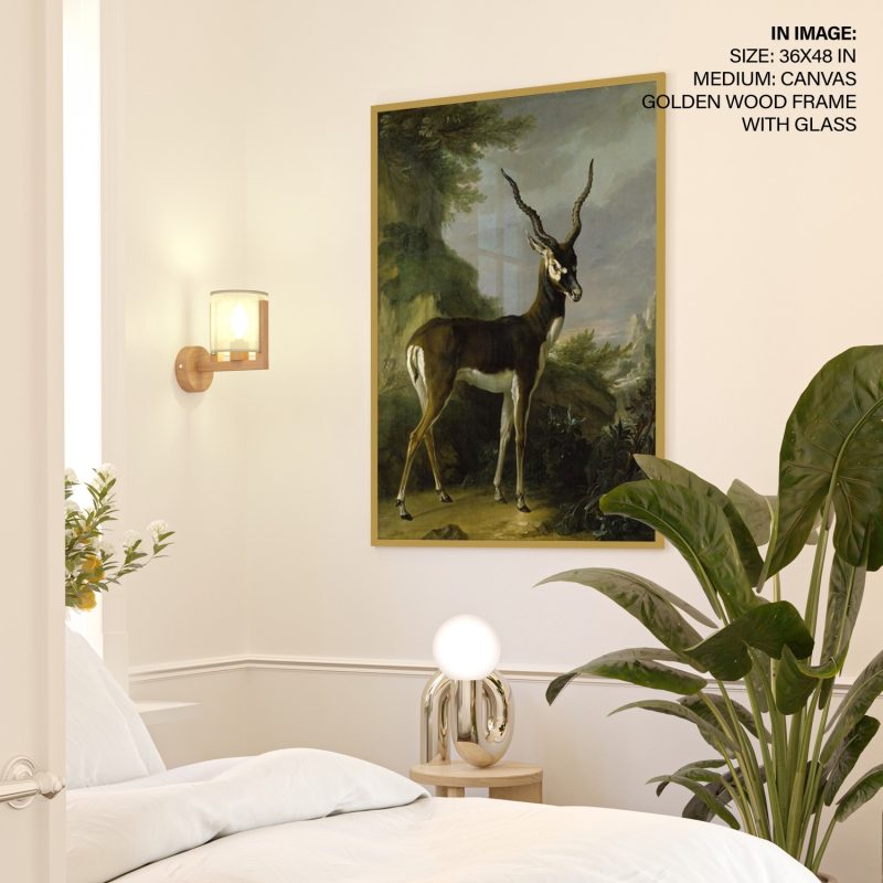 Indian Blackbuck by Jean Baptiste Oudry (1739)