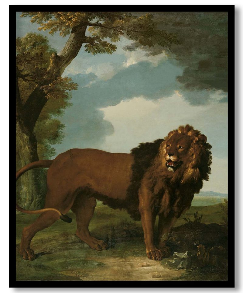 TA-WRLD-PNGTS-CP9-FIRST-340