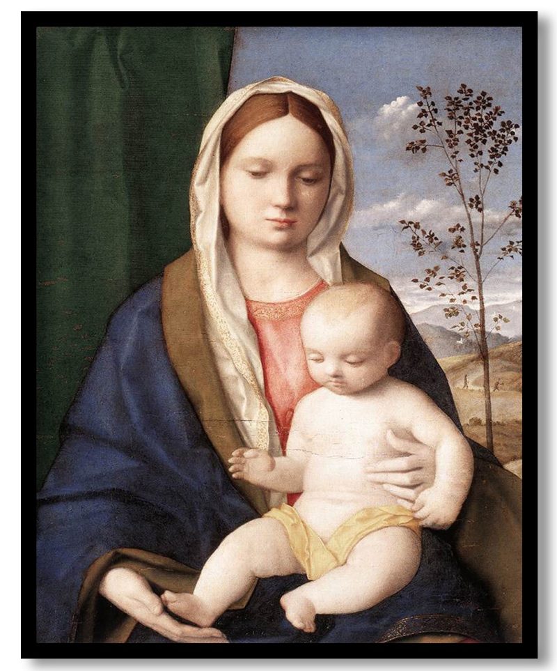 TA-WRLD-PNGTS-CP9-FIRST-532-1