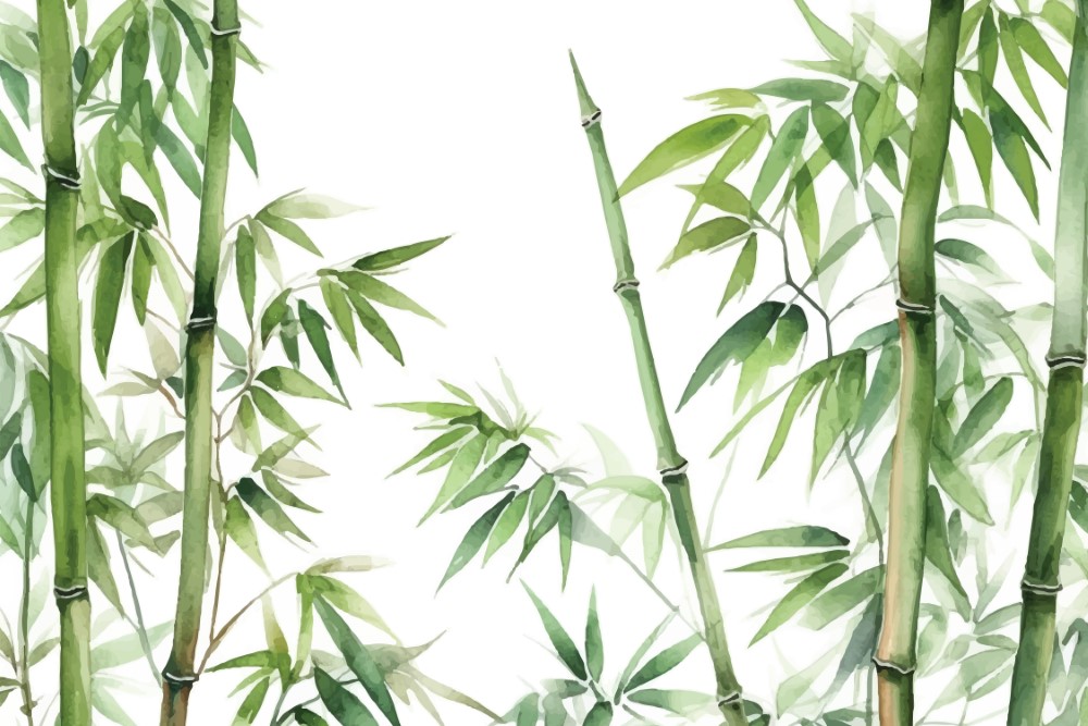 WP-BOT-CP1-LM-24-05-25-19-1