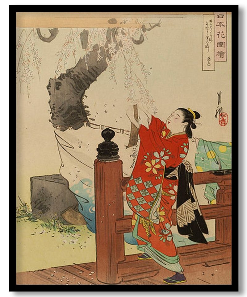 TA-WRLD-PNGTS-CP10-FIRST-380