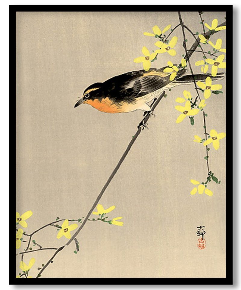 Orange-Breasted Bird by Ohara Koson (Unknown)