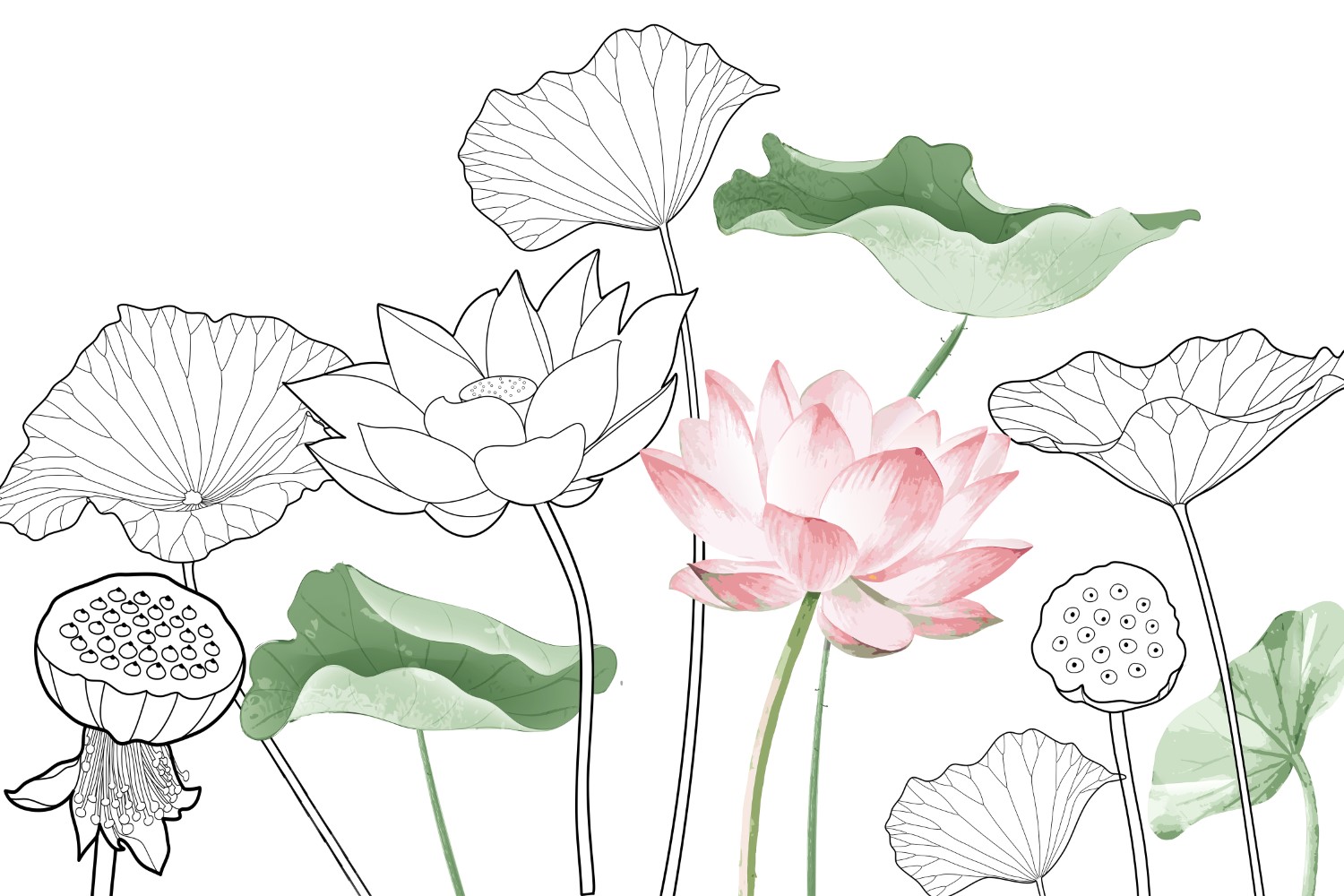 WP-MNMLT-CP1-LM-150625-2