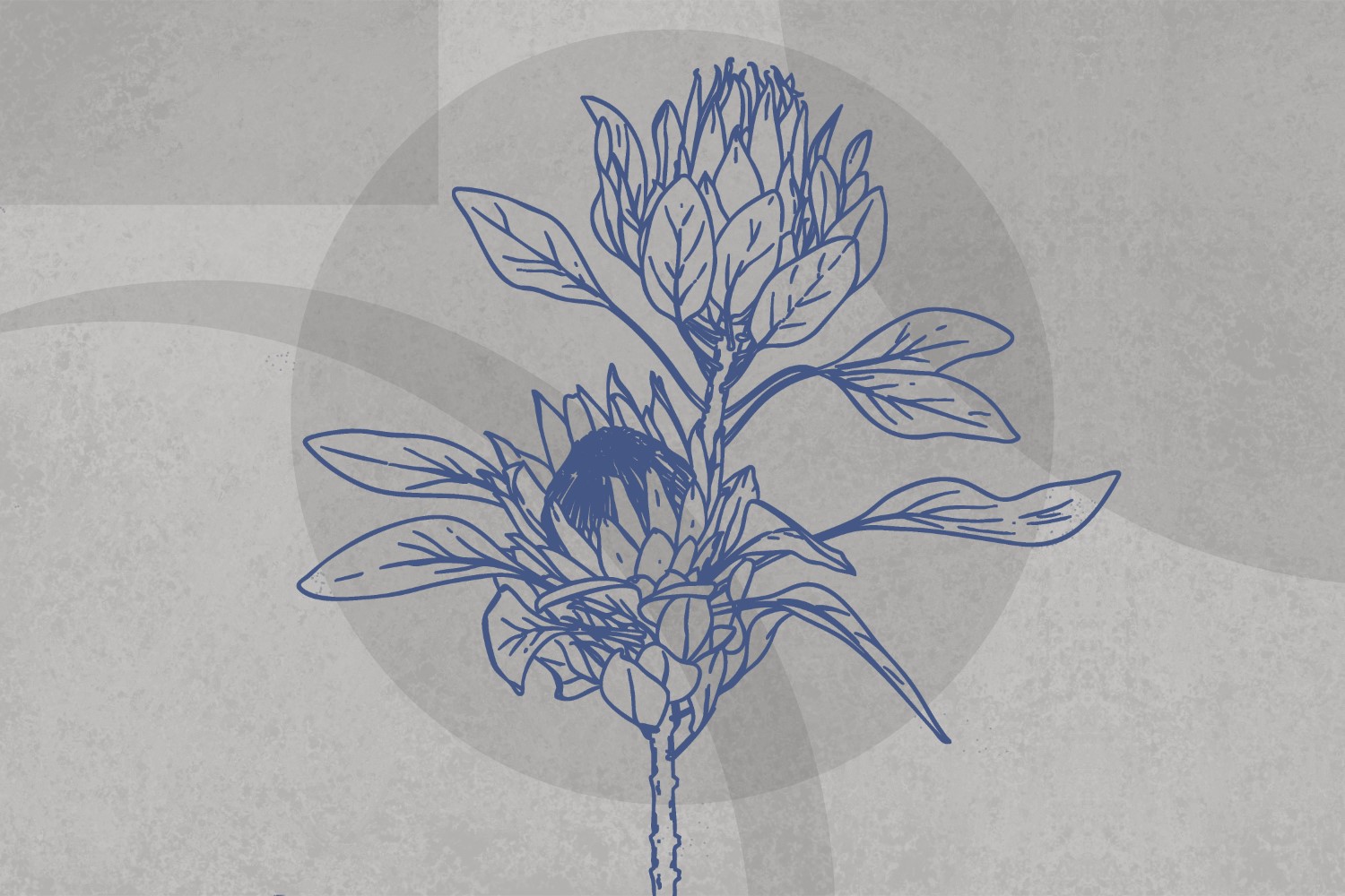 WP-MNMLT-CP1-LM-150625-24-2