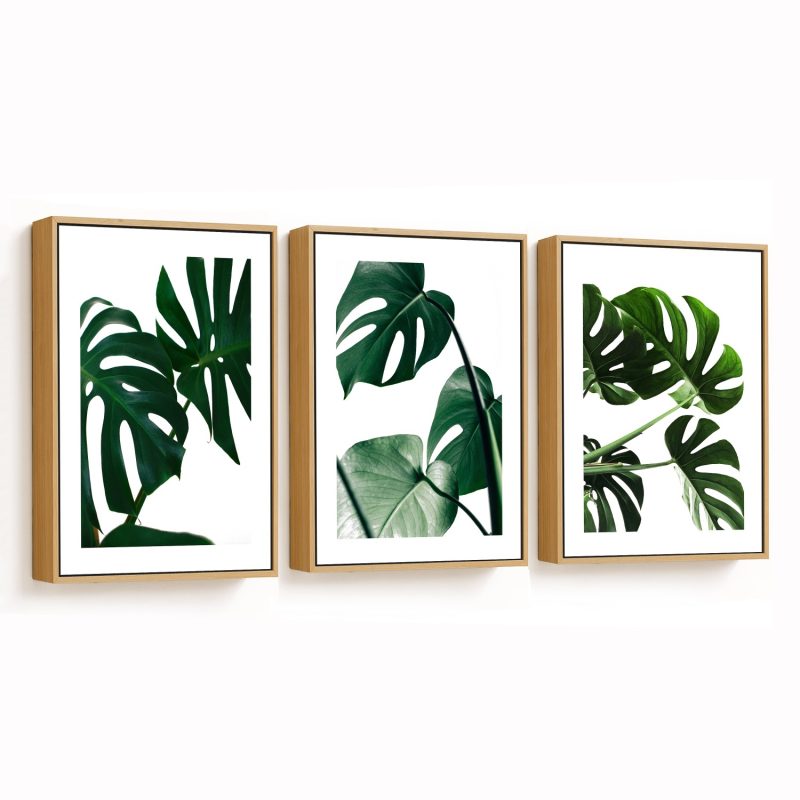 Monstera Leaves Framed Wall Art (Set of 3), Botanical Art, Nature Art, Modern Art - Choose Size and Frame Color