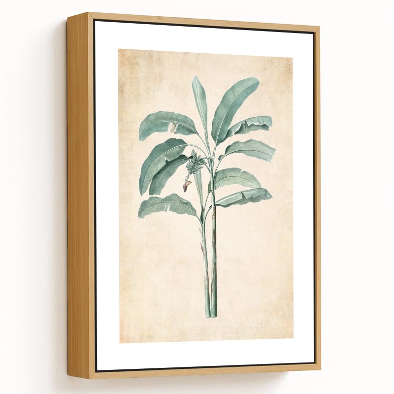Banana tree - Pressed Vintage Botanical