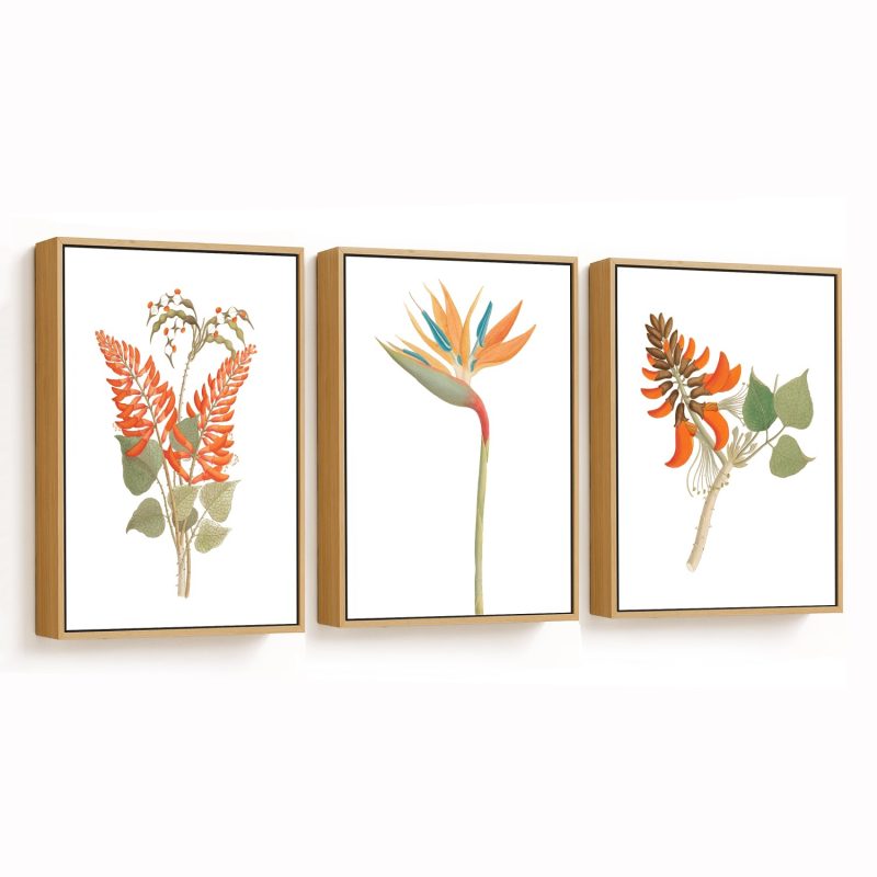 Orange botanical set of 3