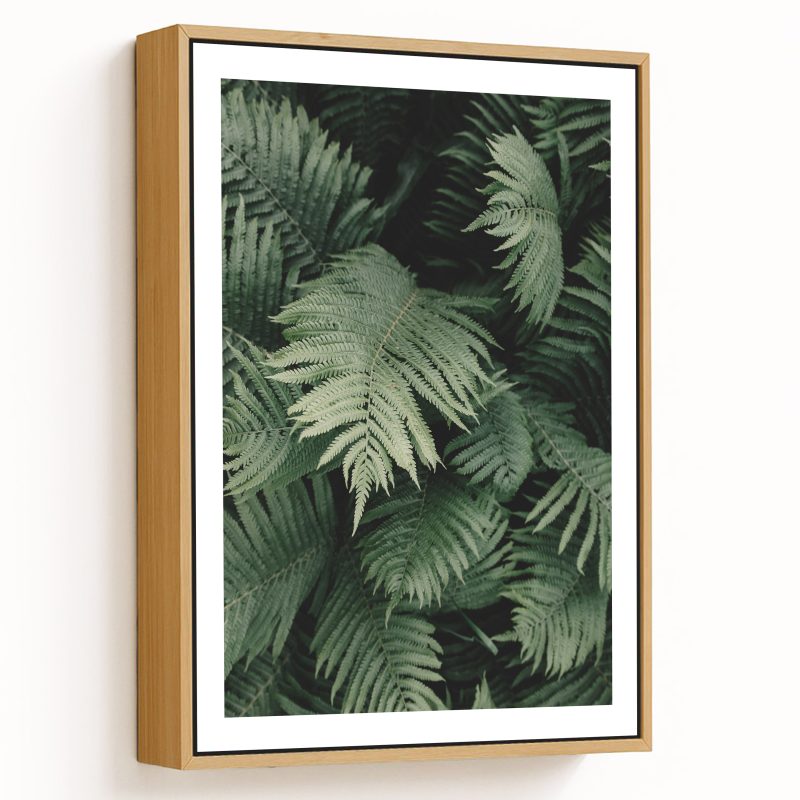 Dark green fern leaves