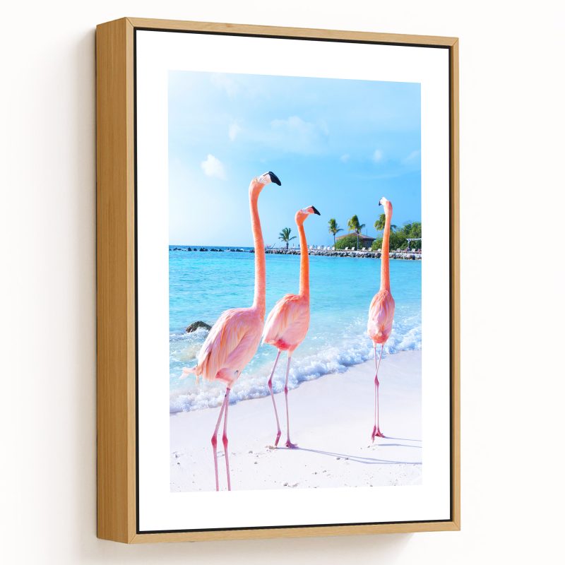 Flamingos on beach