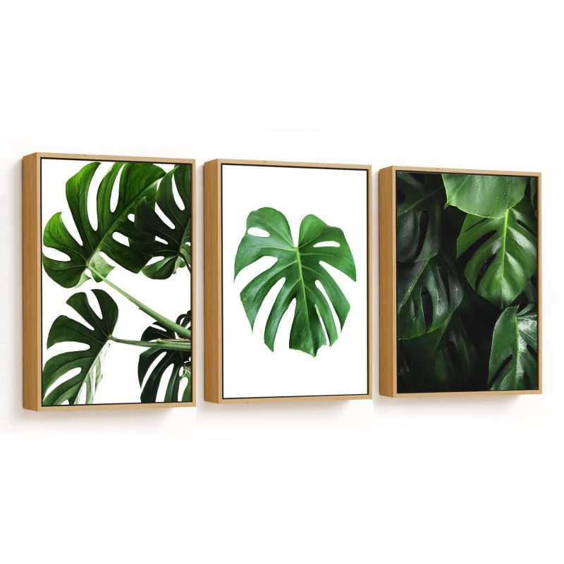Set of 3 green monstera leaves