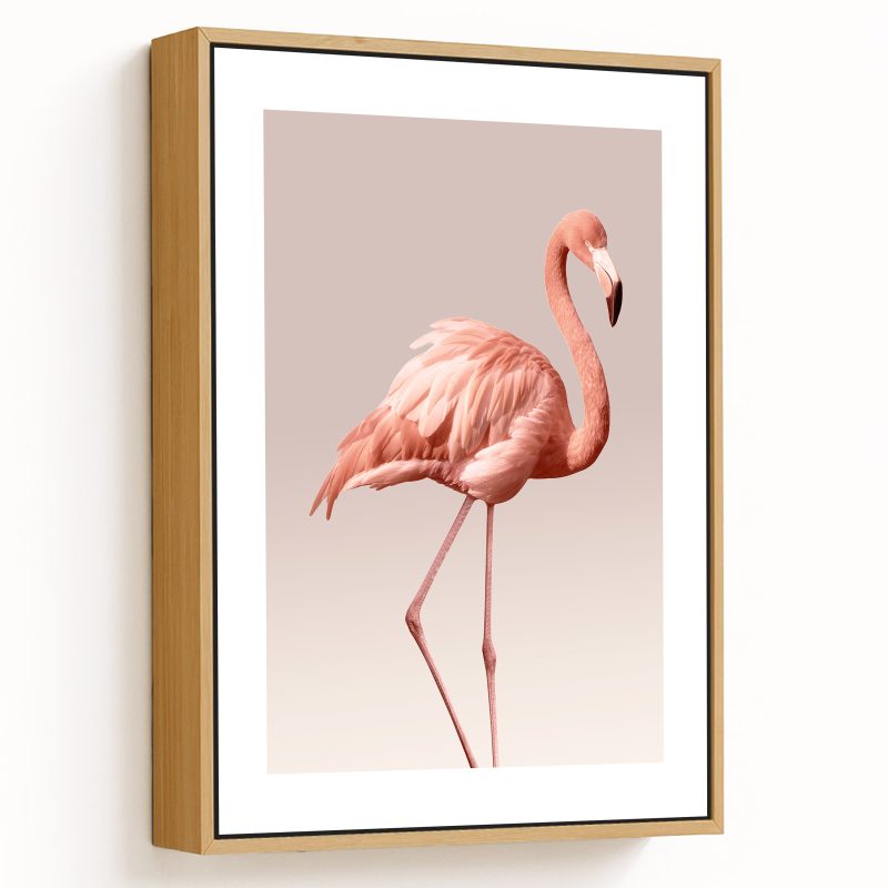 Pink flamingo