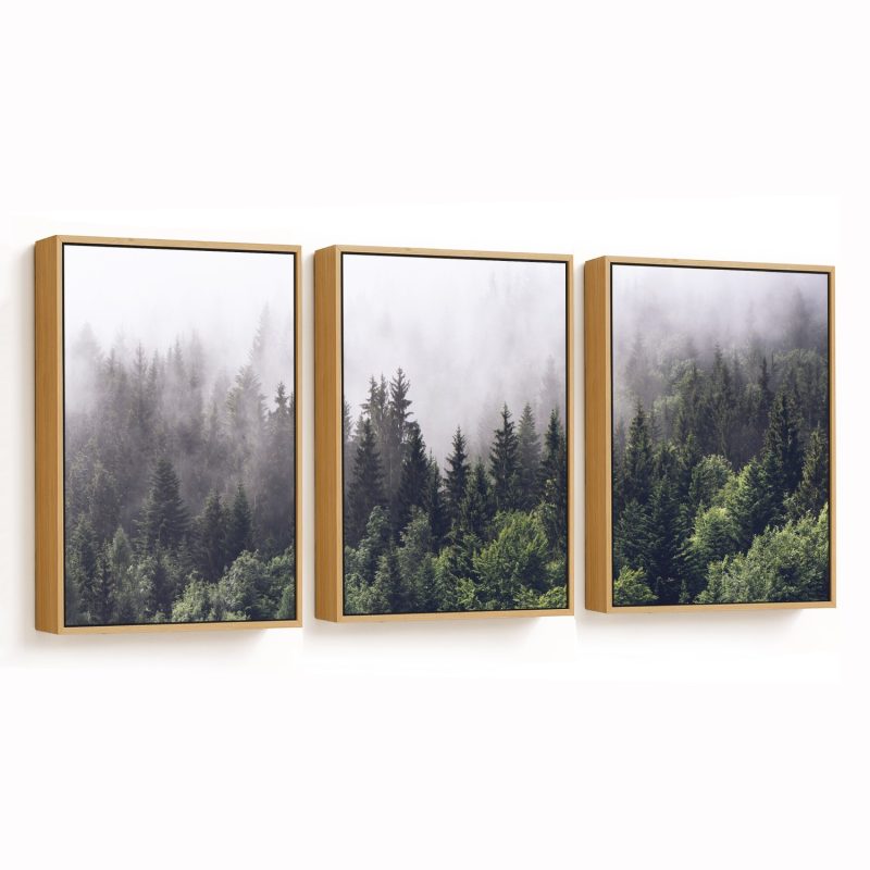 Set of 3 green foggy forest