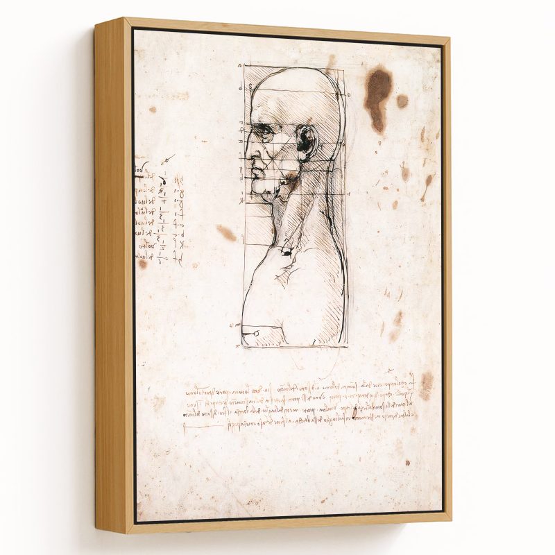 Bust of a man in profile with measurements and notes by Leonardo da Vinci (1490)