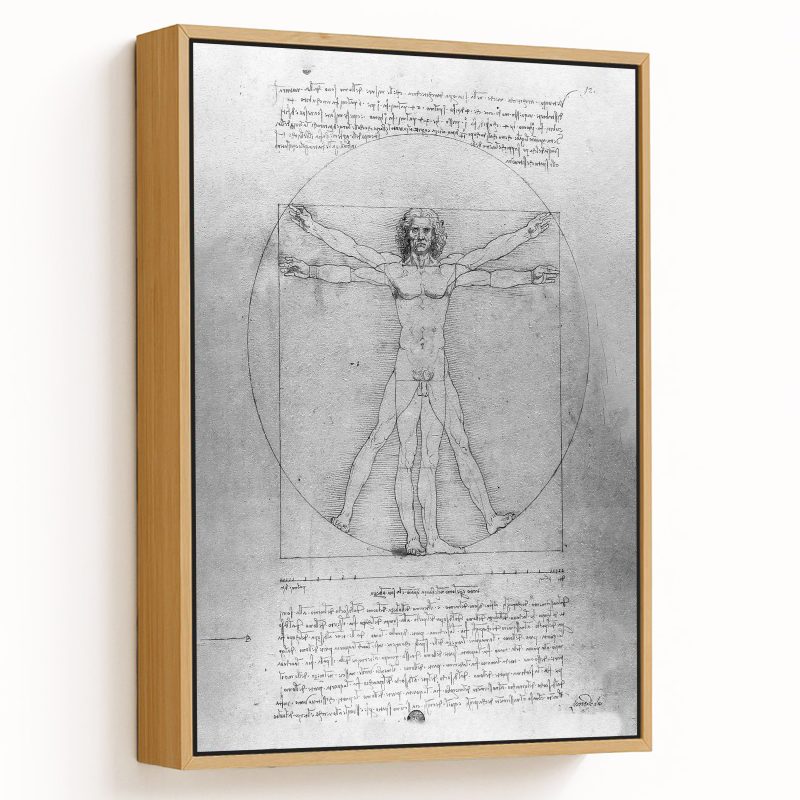 The proportions of the human figure the vitruvian man by Leonardo da Vinci (1492)