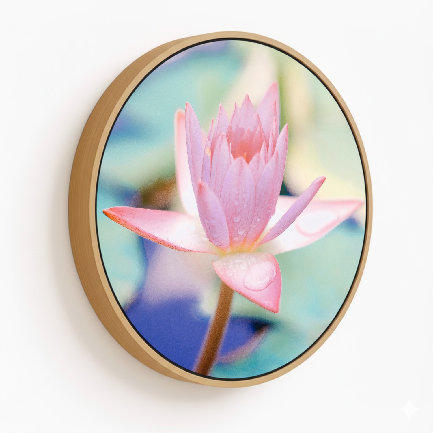 Green succulent - Circular Wooden Frames - CHOOSE 